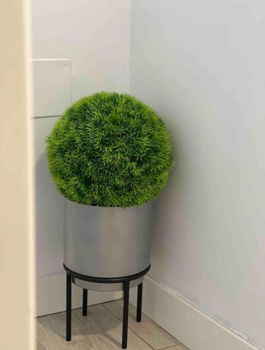 Encantador Apartamento Plaza Mayor Madrid Centro 外观 照片